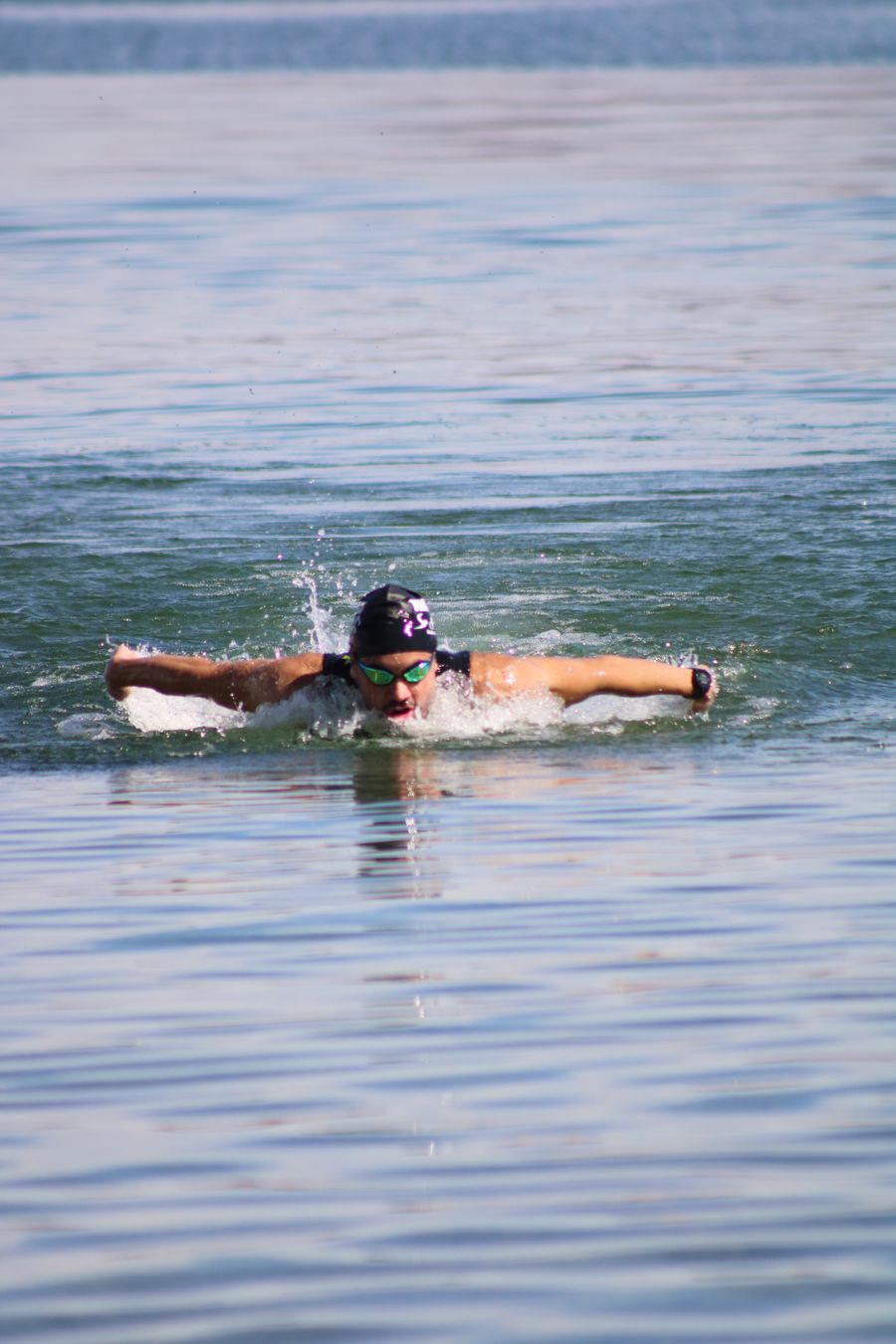 Philip swimming butterfly in Lake Mead